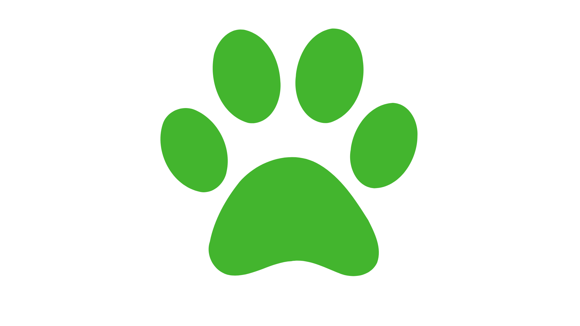 Veterinary Cleaning Service